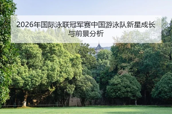 2026年国际泳联冠军赛中国游泳队新星成长与前景分析